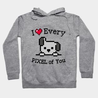 I love every Pixel of You Hoodie